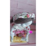 عروسک یوگا کار